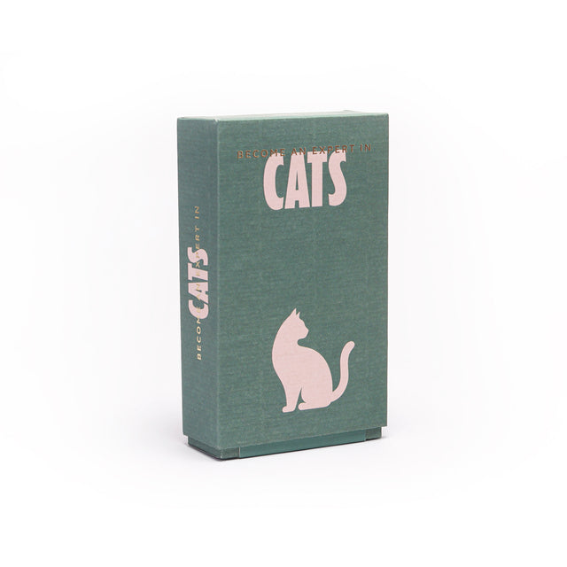 Become an Expert in Cats