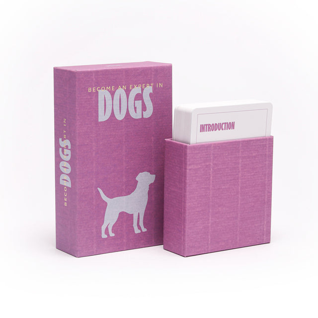 Become an Expert in Dogs
