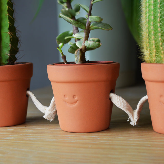 Hand-Holding Succulent Pots