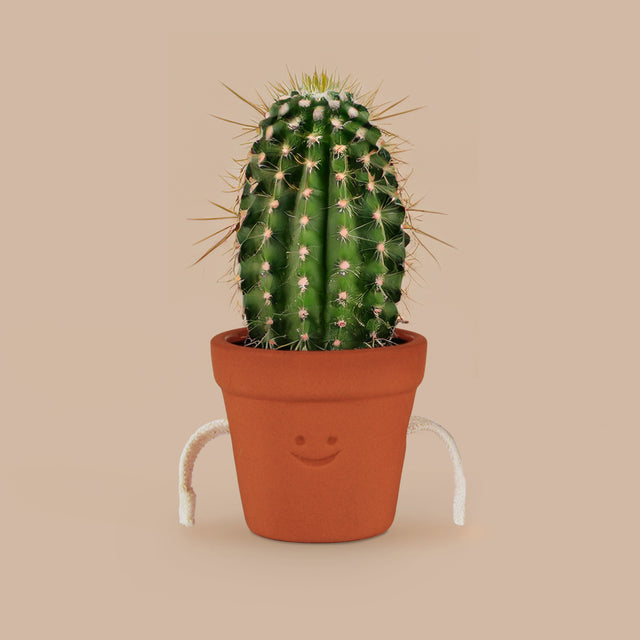 Hand-Holding Succulent Pots