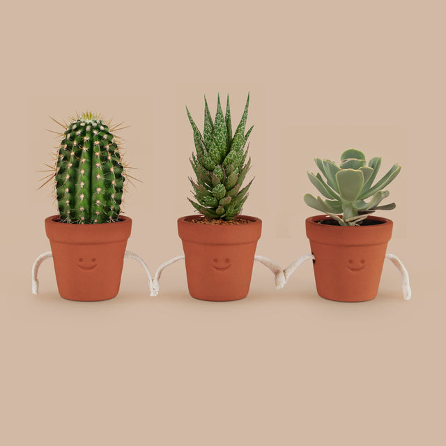 Hand-Holding Succulent Pots