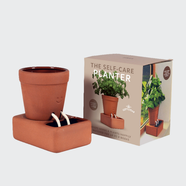 Self Care self watering plant pot with foot spa