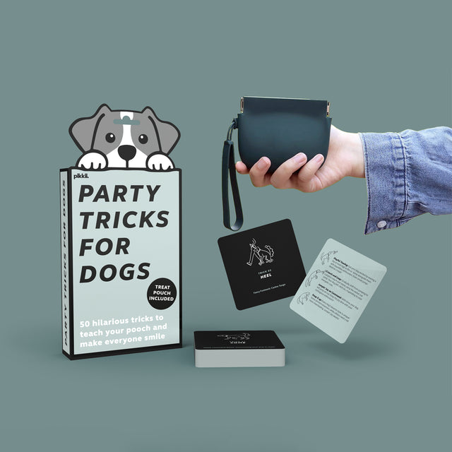 Party Tricks for Dogs
