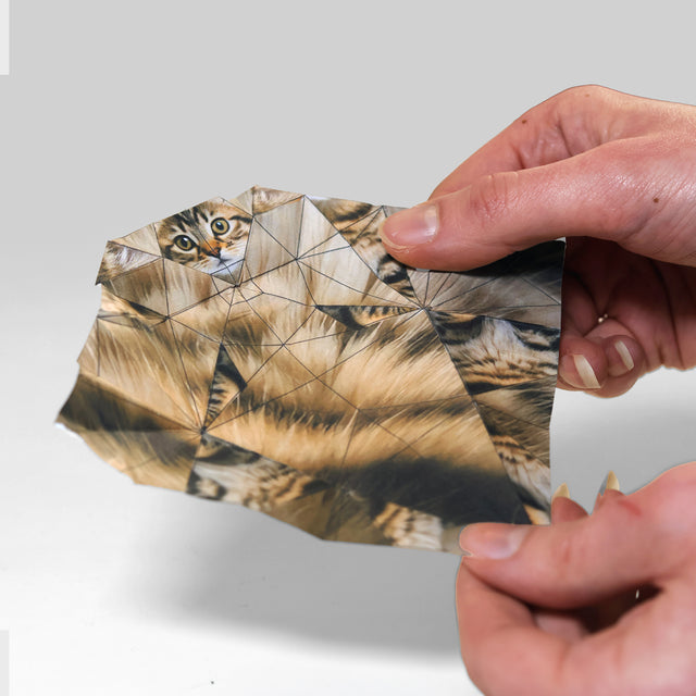Hands Folding a printed piece of origami cat paper