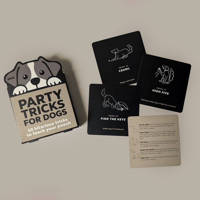 Party Tricks for Dogs (Mini)