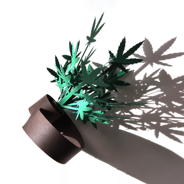 Roll Your Own Weed Plants - Paper Craft Kit