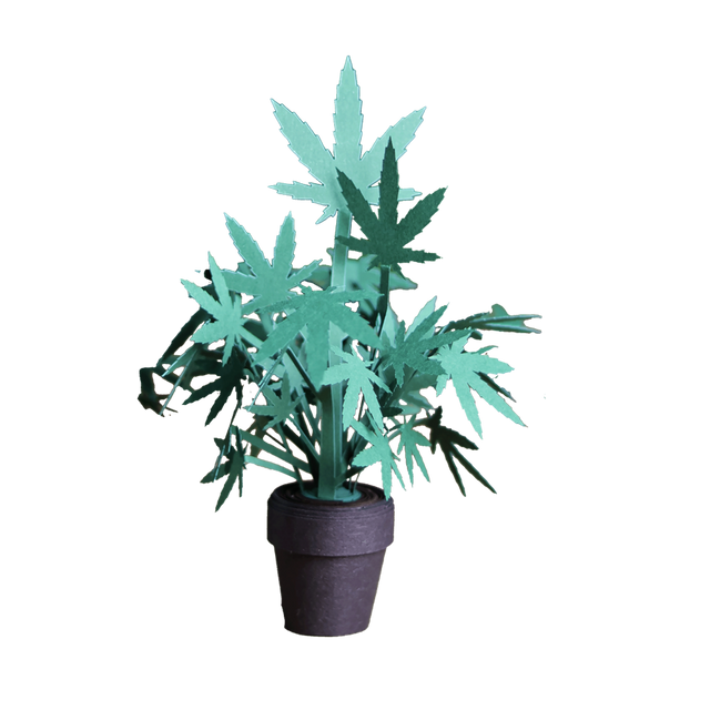 Roll Your Own Weed Plants - Paper Craft Kit