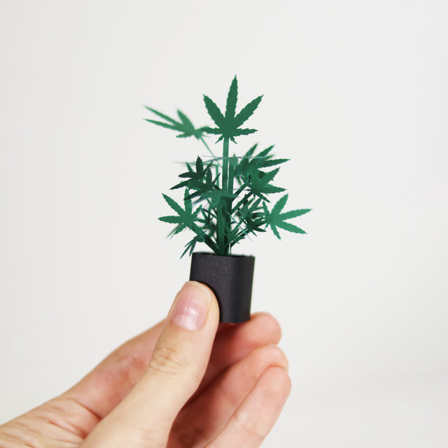 Roll Your Own Weed Plants - Paper Craft Kit