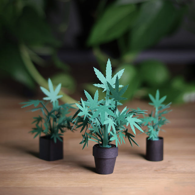 Roll Your Own Weed Plants - Paper Craft Kit
