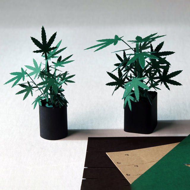 Roll Your Own Weed Plants - Paper Craft Kit