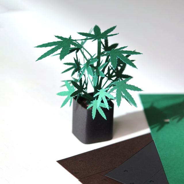 Roll Your Own Weed Plants - Paper Craft Kit