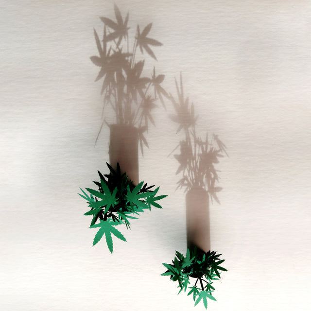 Roll Your Own Weed Plants - Paper Craft Kit