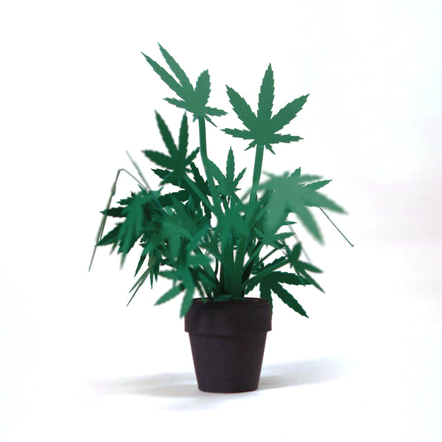Roll Your Own Weed Plants - Paper Craft Kit