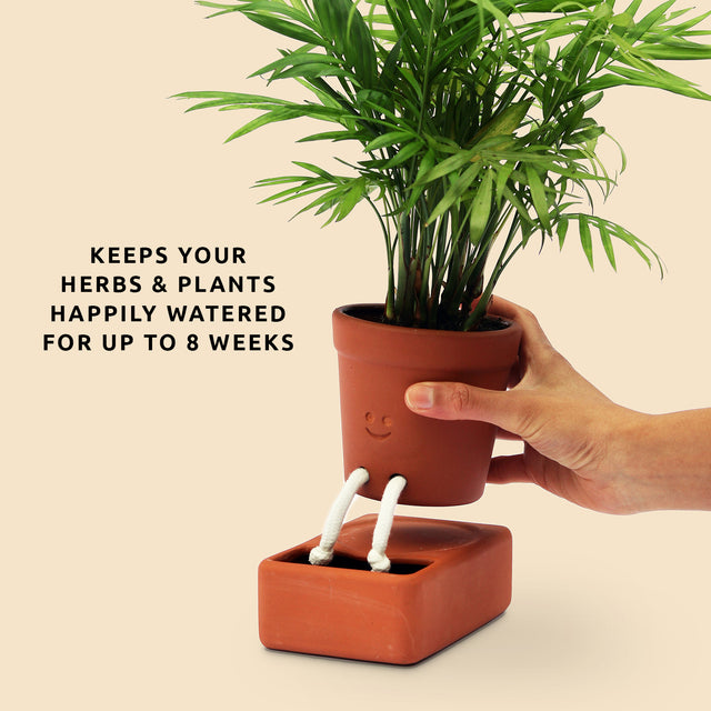 Self care planter by Pikkii - keeps your herbs and plants happily water for up to 8 weeks