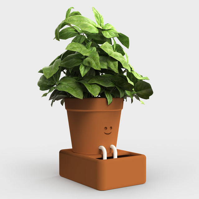 Self care planter by Pikkii on grey background