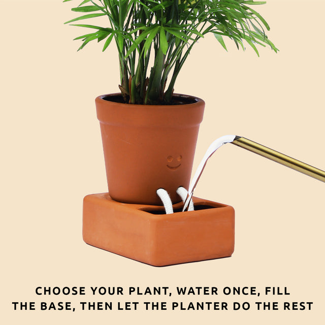 Self care planter by Pikkii - choose your plant, water once, fill the base then let the planter do the rest - watering can filling up base of the planter