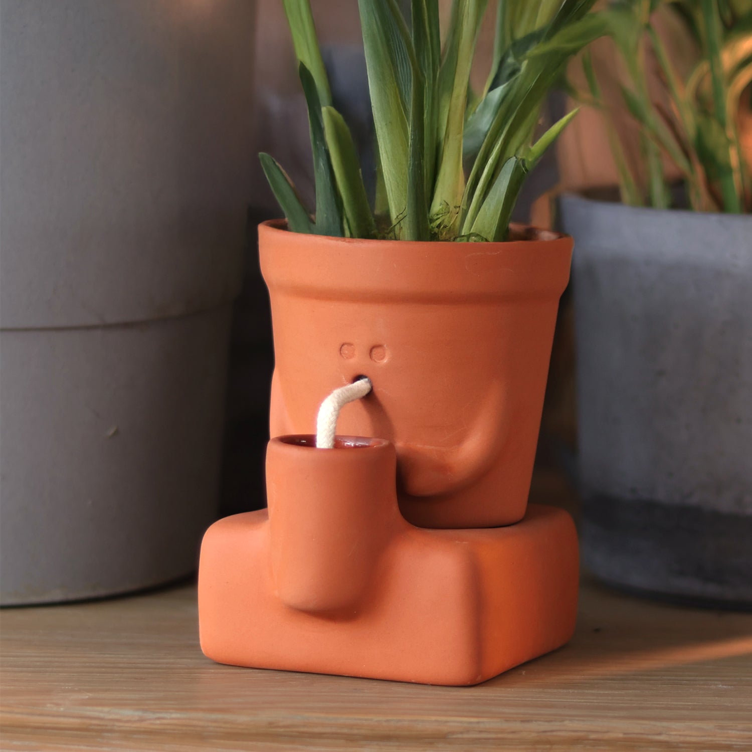 cute plant pots near me The Thirsty Planter – Self-Watering Pot for Happy, Healthy Plants – Pikkii