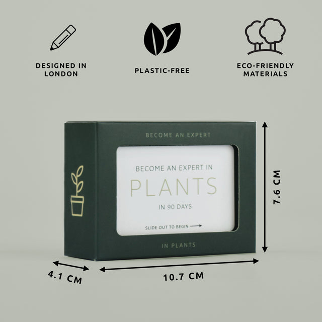 Become an expert in plants in 90 days slide box by Pikkii dimensions and material details