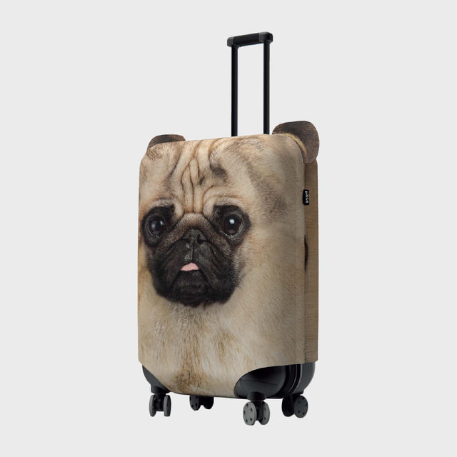 Pug Luggage Cover by Pikkii over Grey Background