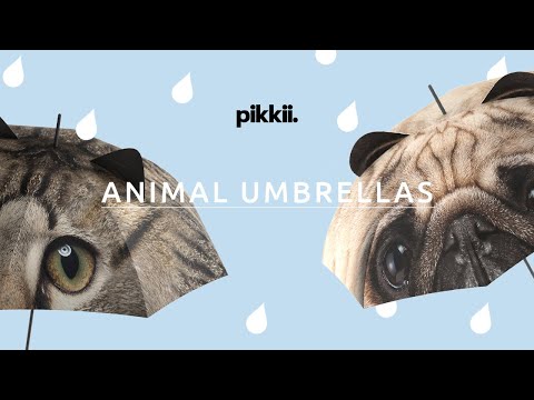Pikkii Umbrellas Video of girl using cat and pug umbrella