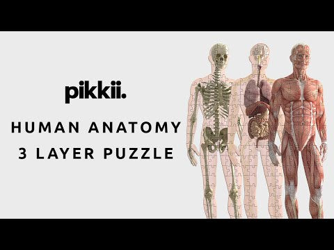 Human Anatomy 3 Layer Puzzle by Pikkii Youtube Video Product Demonstration