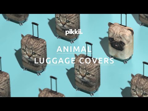 Pikkii Promotional video animal luggage covers funny video in airport luggage conveyor Pug & Cat Luggage Covers by Pikkii