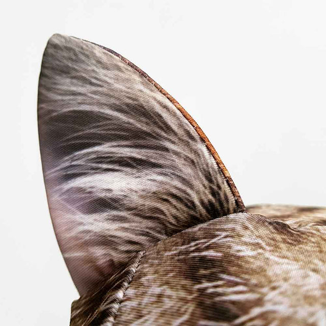 Close up of cat ears on the Suitcase Cover over white background