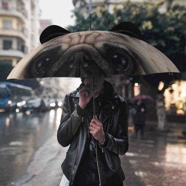 Guy Holding Pug Umbrella in the city while raining
