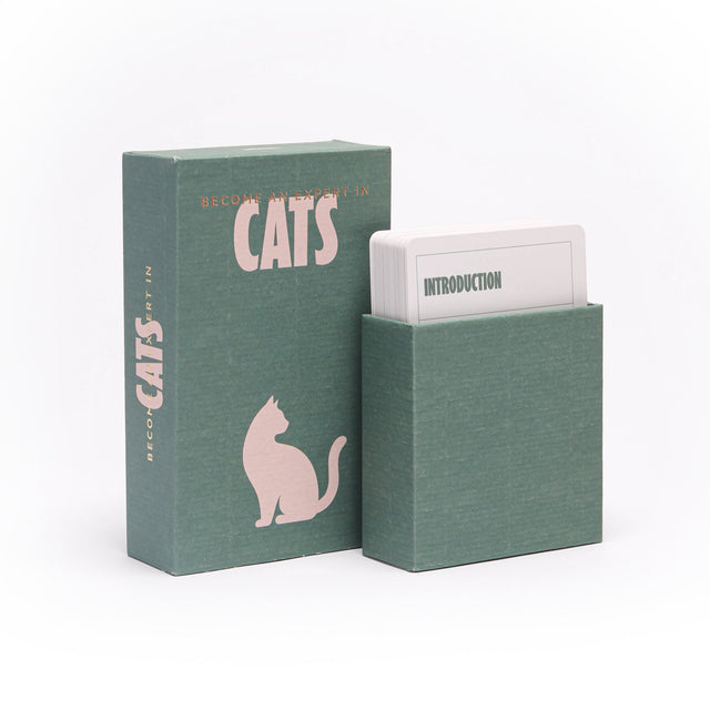 Become an Expert in Cats
