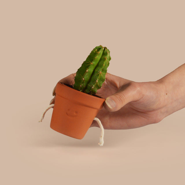 Hand-Holding Succulent Pots