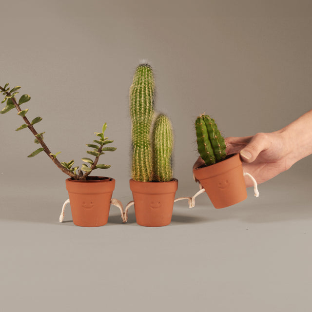 Hand-Holding Succulent Pots