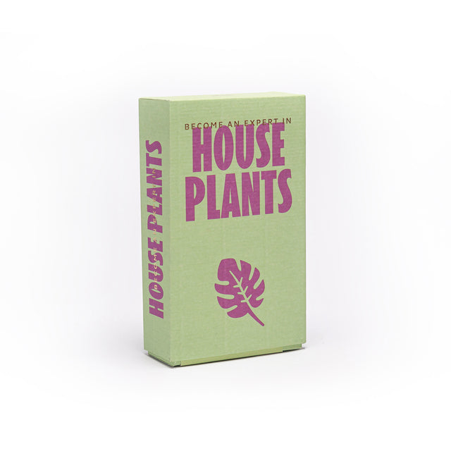 Become an Expert in House Plants