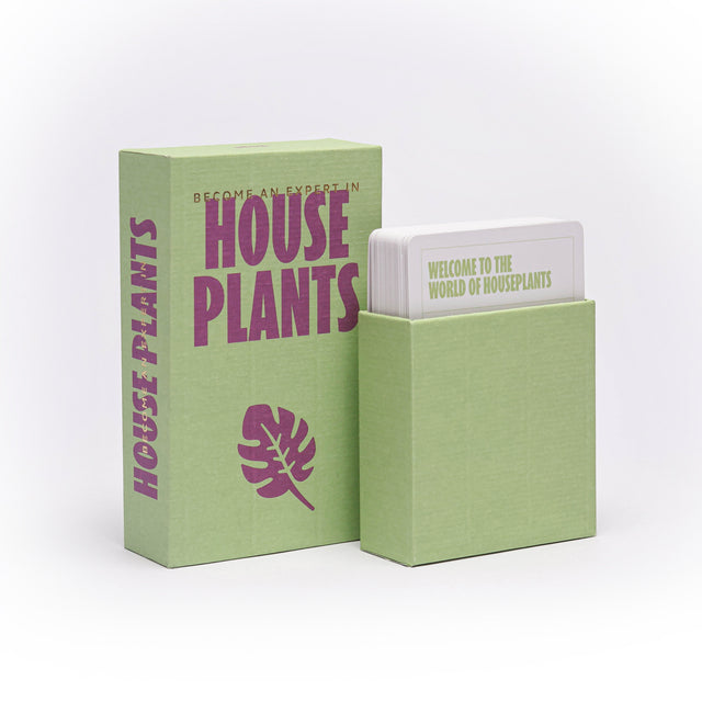 Become an Expert in House Plants