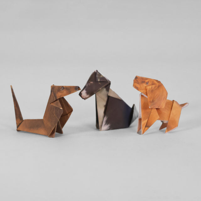 Origami Dachshund, Border Collie and Cockapoo Cavapoochon