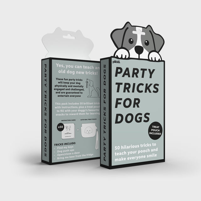 Party Tricks for Dogs