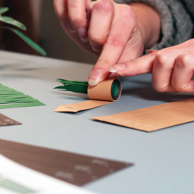 Rolling paper plant kit