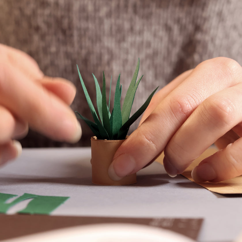 Paper Plants Craft Kit | Gift For Plant Lovers by Pikkii