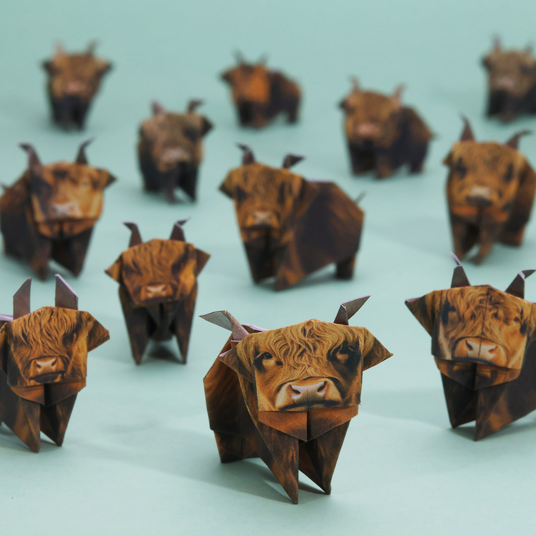 Paper Highland Cows | Origami Cow Craft Kit | Fun Gift for Cow Lovers ...