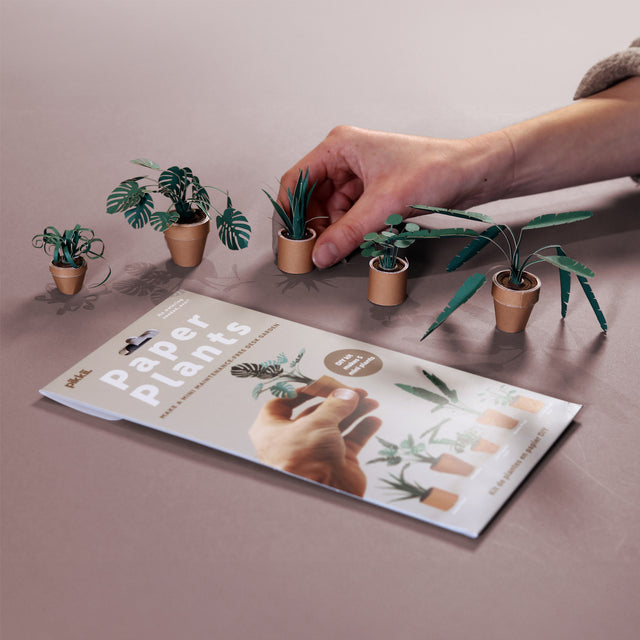 Paper Plants DIY houseplant craft kit by Pikkii Design