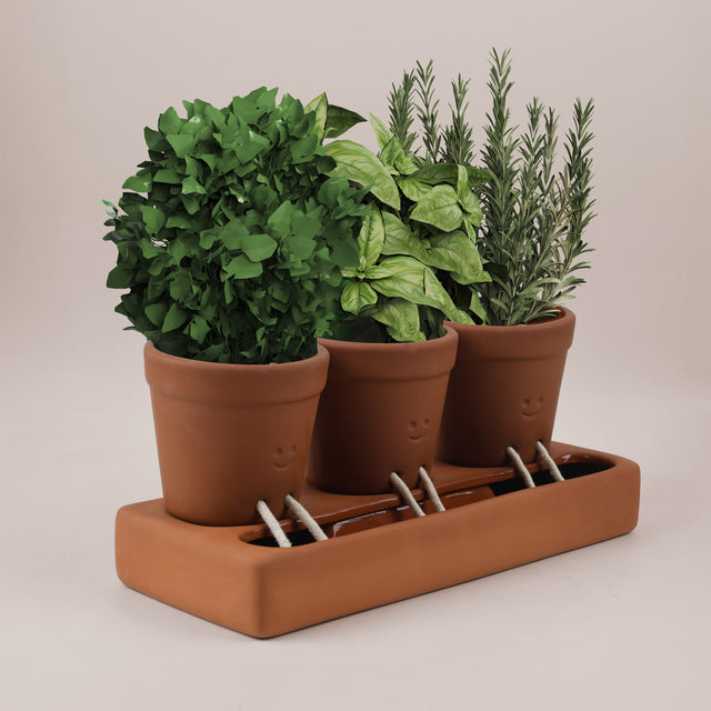 Trio Self Care Planter| Self Watering Plant Pot