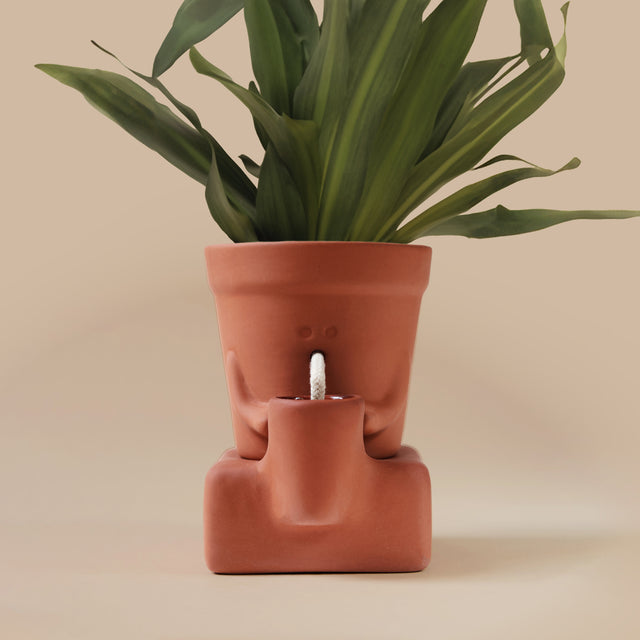 The Thirsty Planter