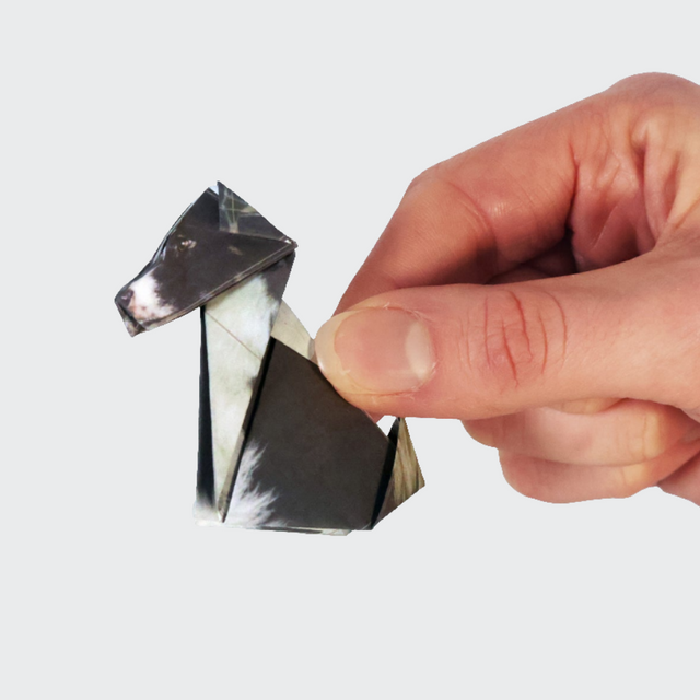 Origami Border Collie Paper Pups Kit by Pikkii