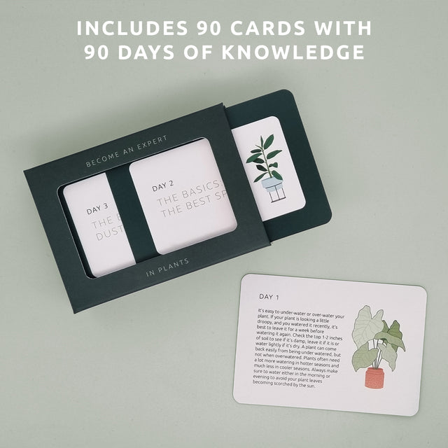 Become an expert in plants in 90 days slide box by Pikkii - Includes 90 cards with 90 days of knowledge