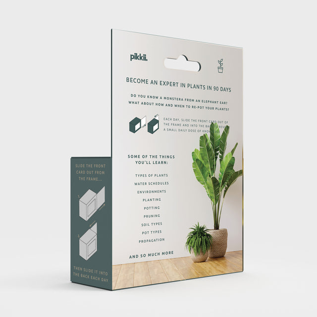 Become an expert in plants in 90 days slide box by Pikkii packaging back