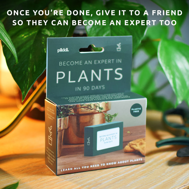 Become an expert in plants in 90 days slide box by Pikkii packaging on side table