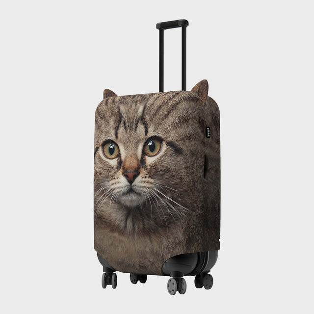 Cat Luggage Cover by Pikkii over Grey Background