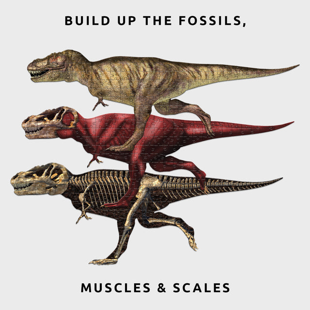 T-Rex Layer Jigsaw Puzzle by Pikkii - Fossils, Muscles and Scales Layers Overlapping Each Other with Text Overlay