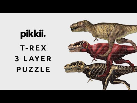T-Rex 3 Layer Puzzle by Pikkii Youtube Video Product Demonstration