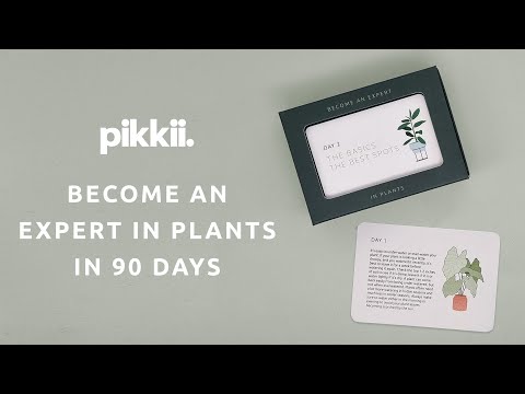 Become an expert in plants in 90 days by Pikkii video