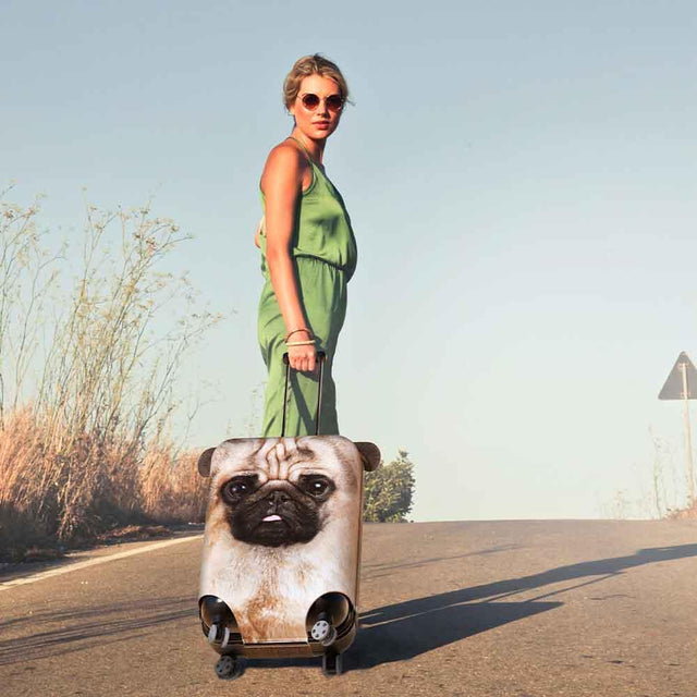 Dog Suitcase Cover pulled by woman walking on remote road